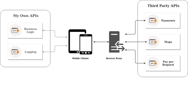 Graphic to show what is a reverse proxy.