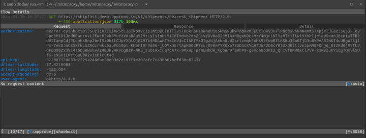 mitmproxy-cli-request-details