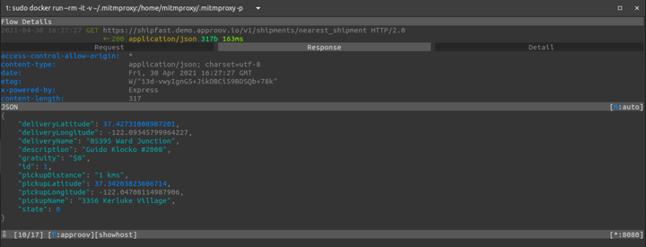 mitmproxy-cli-response-details