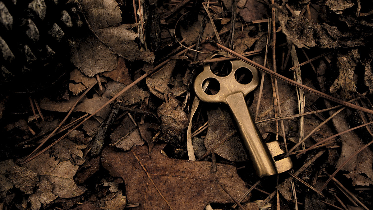 old key in the forest floor on autunm 