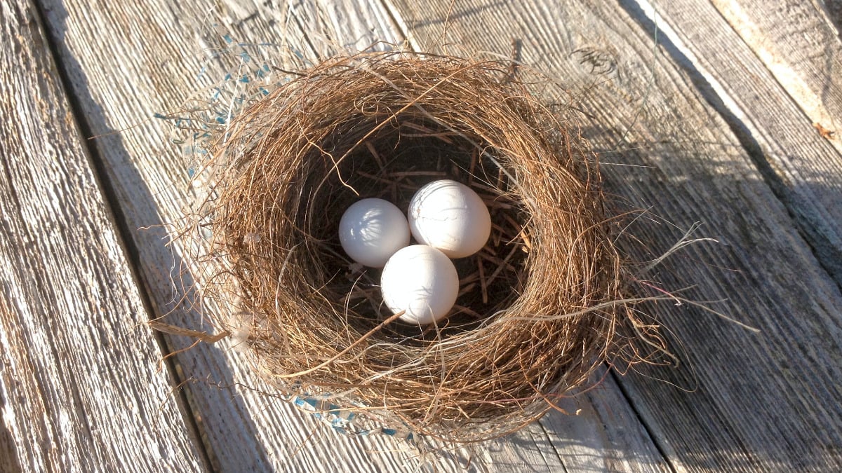 A nest with three eggs on a wooden floor.