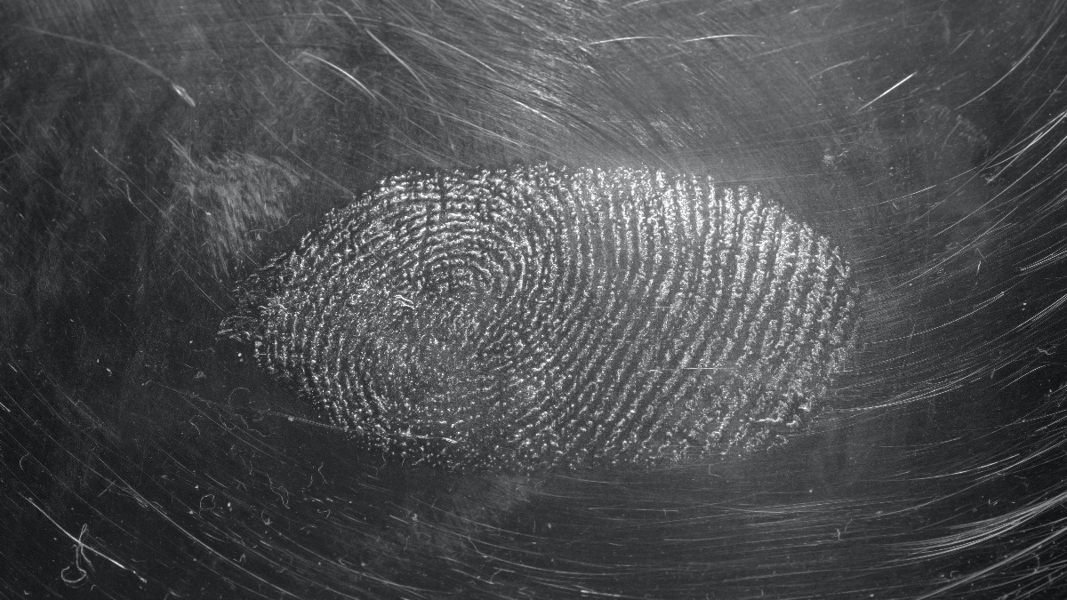 A fingerprint in a surface full of risks.
